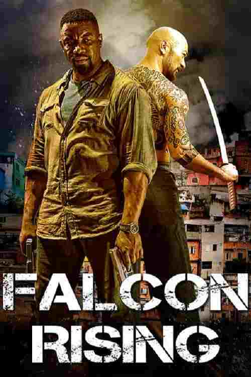 Falcon Rising  oglądaj online za darmo