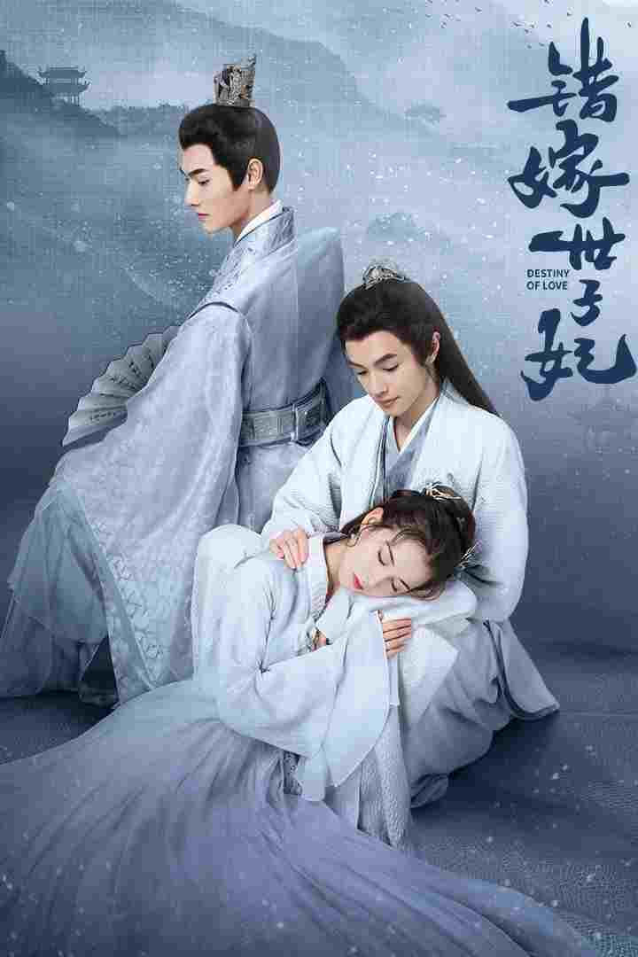  错嫁世子妃  Oglądaj w HD online