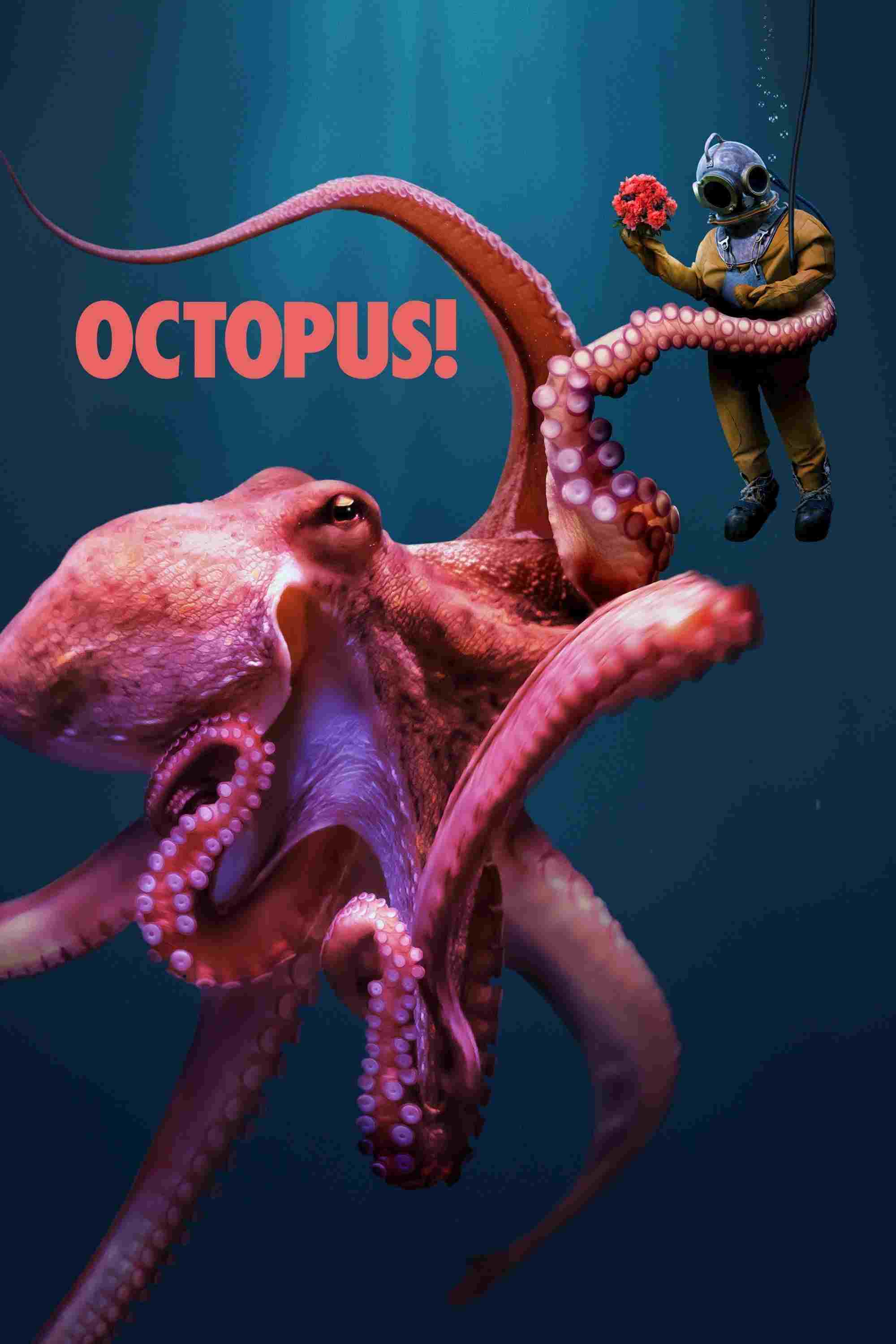 Octopus!  Oglądaj w HD online