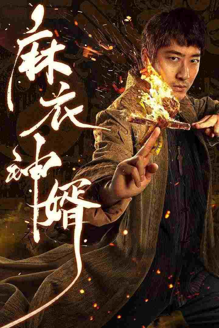  麻衣神婿  Oglądaj w HD online