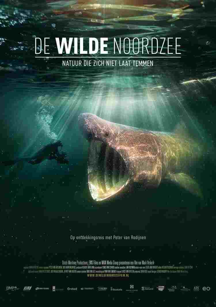 De wilde Noordzee  Oglądaj online za darmo w dobrej jakości