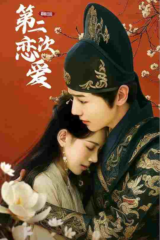  和前任的第二次恋爱  Oglądaj w HD online