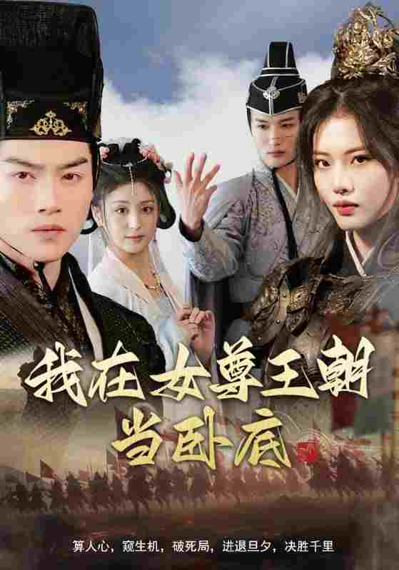  我在女尊王朝当卧底  Oglądaj w HD online