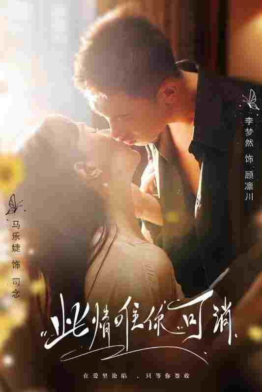  此情唯你可消  Oglądaj w HD online