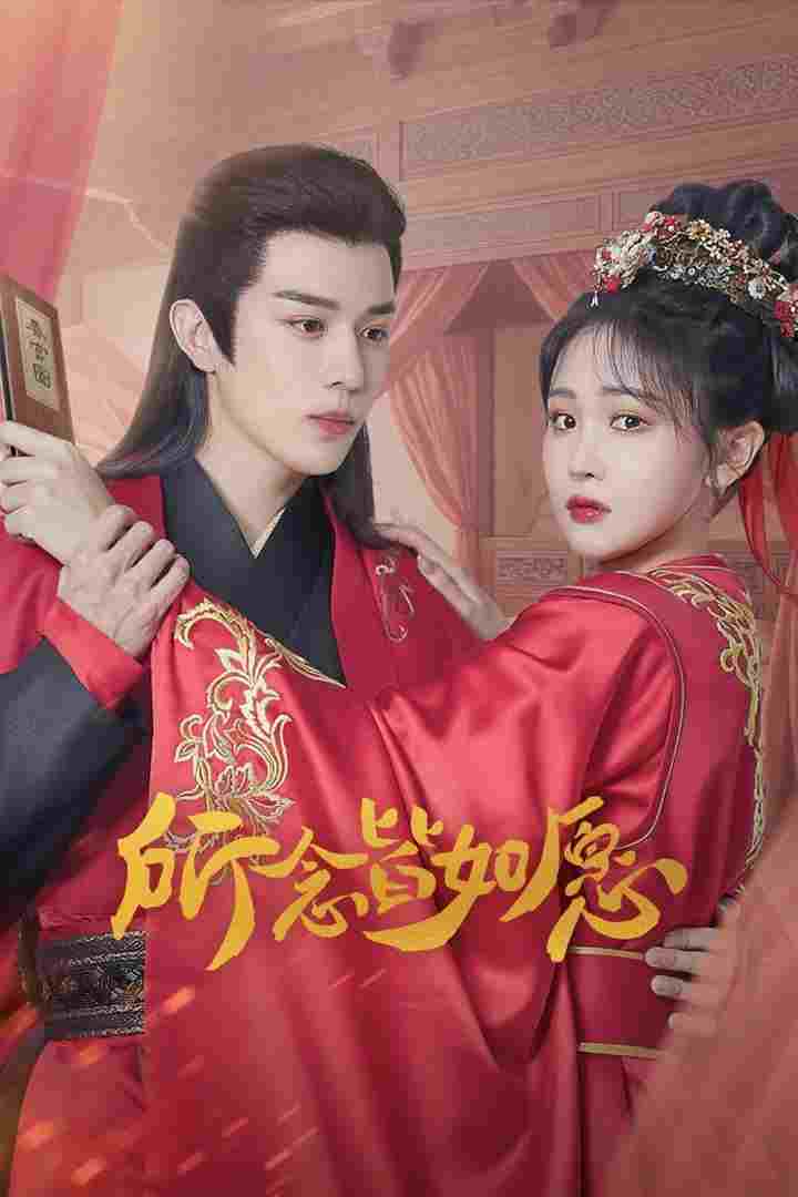  所念皆如愿  Oglądaj w HD online