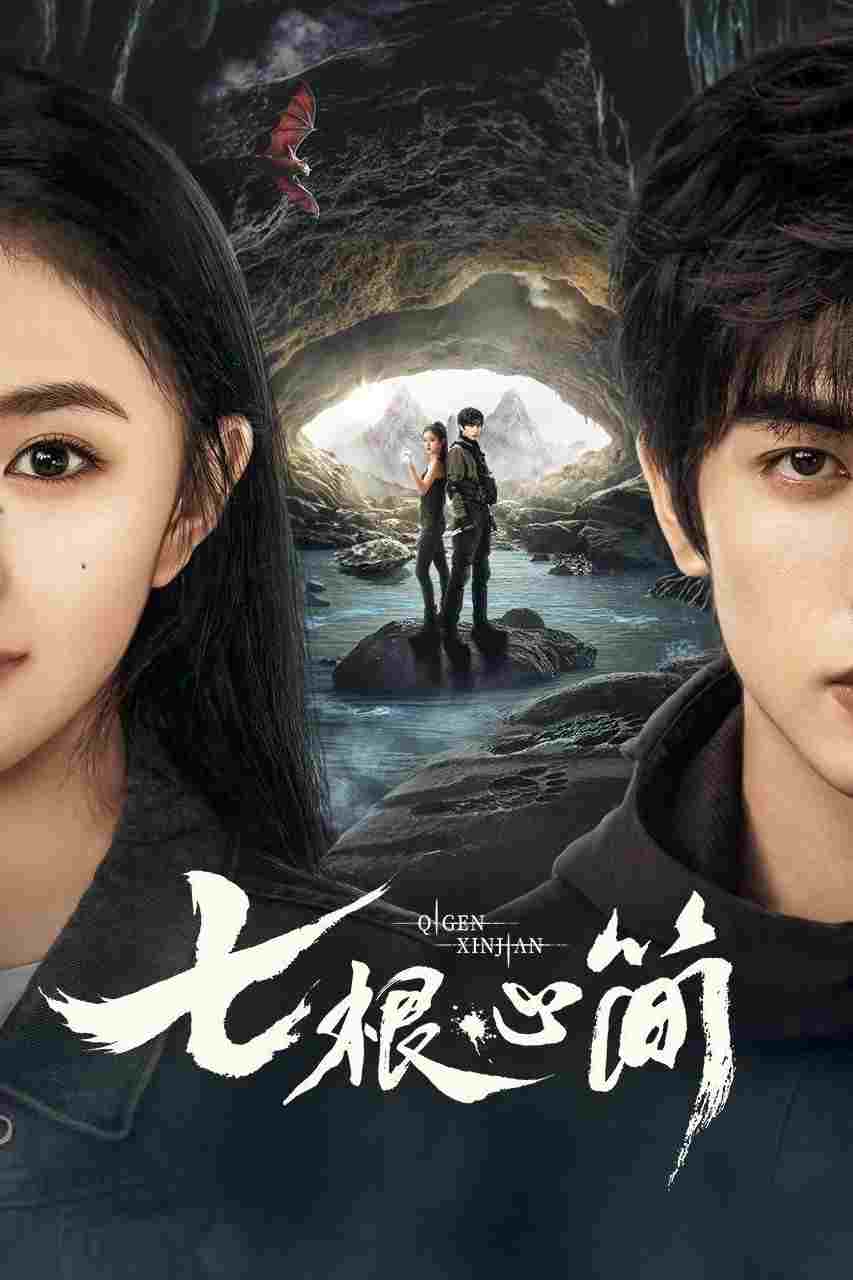  七根心简  Oglądaj w HD online