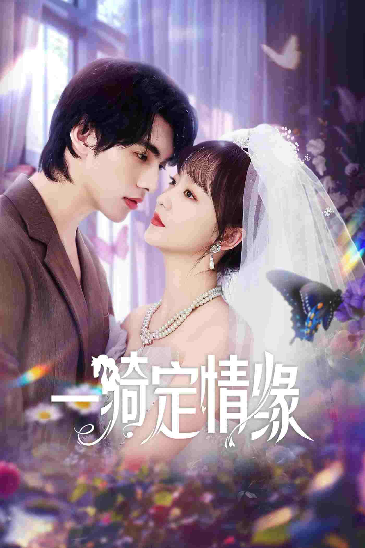  一骑定情缘  Oglądaj w HD online