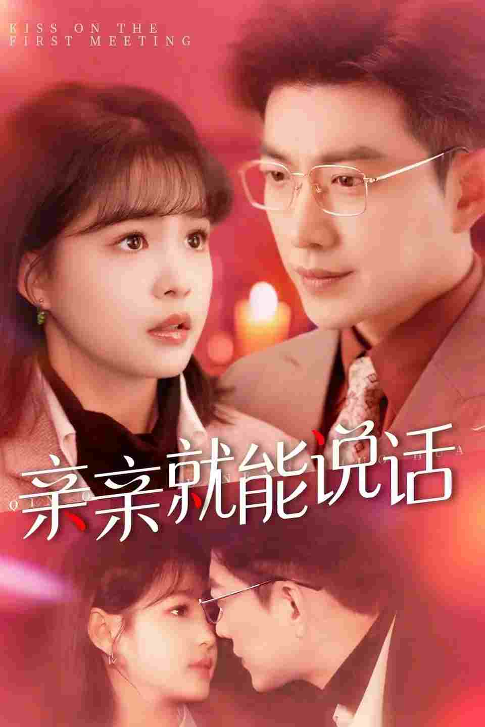  声控男友使用手册  Oglądaj w HD online