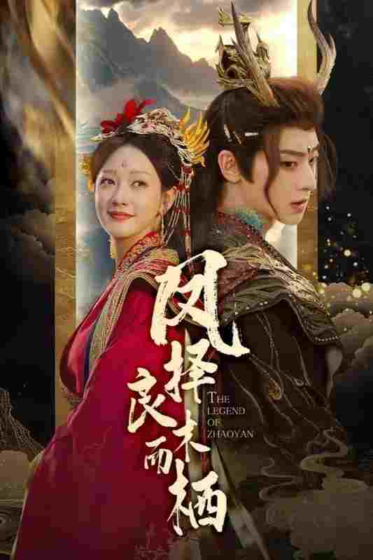  凤择良木而栖  Oglądaj w HD online