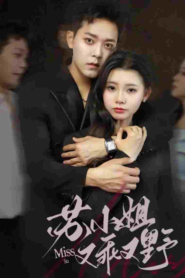  苏小姐又乖又野  Oglądaj w HD online