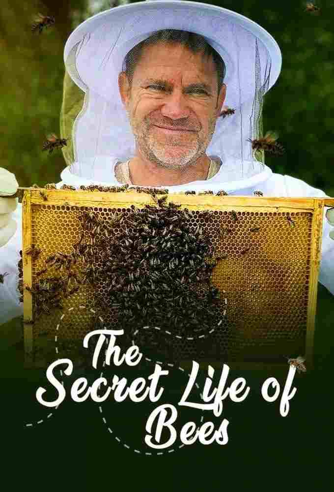 The Secret Life of Bees  Oglądaj w HD online