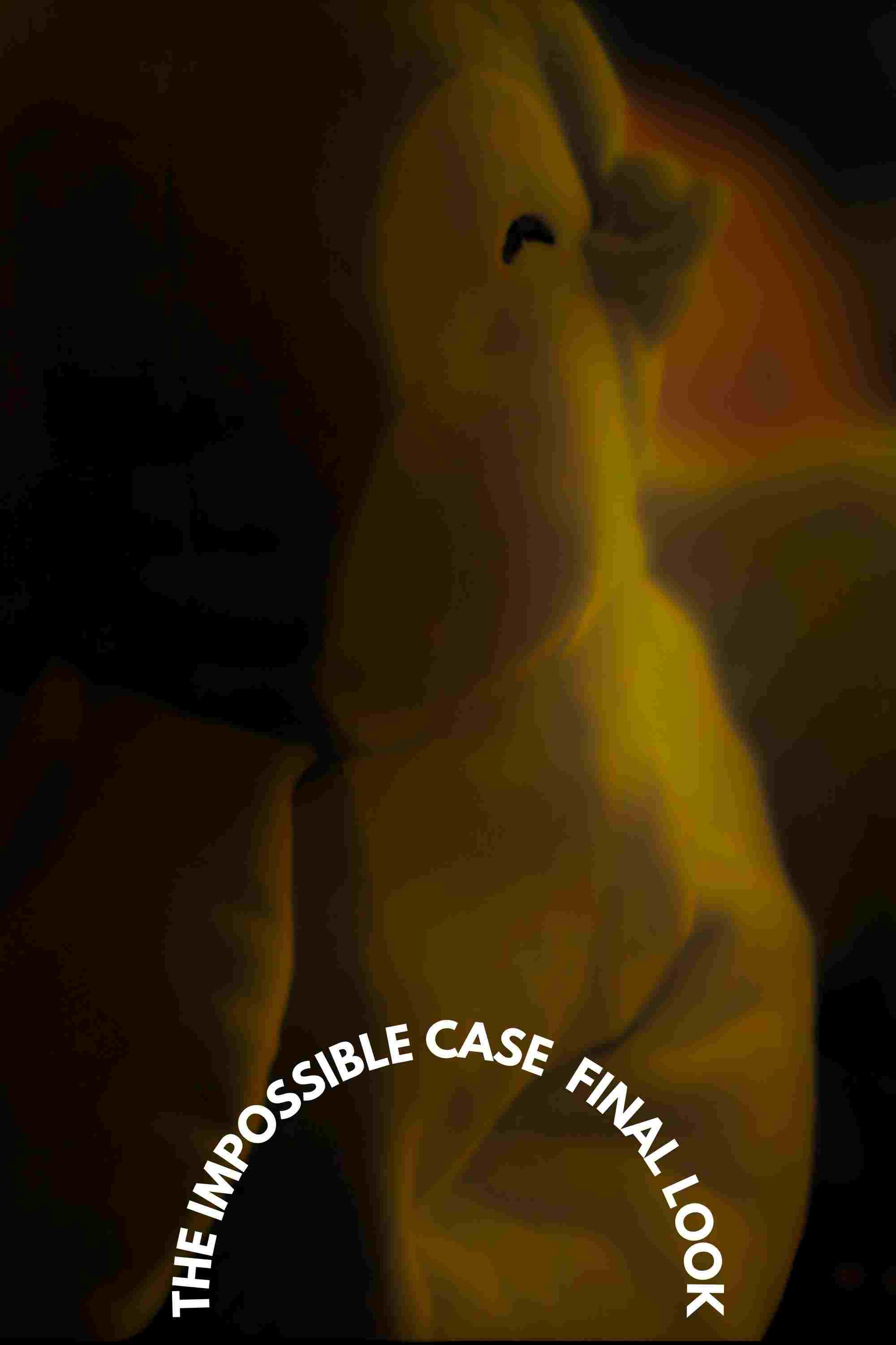  The Impossible Case: Final Look  Oglądaj w HD online