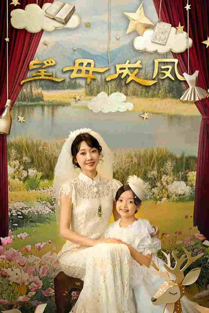  望母成凤  Oglądaj w HD online