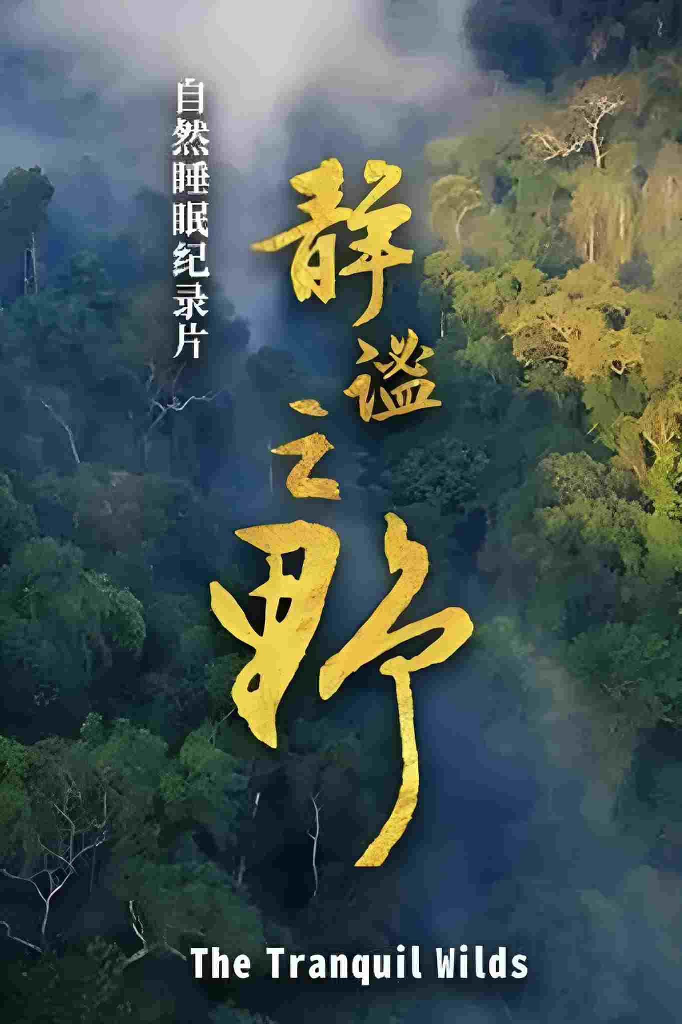 静谧之野  Oglądaj w HD online