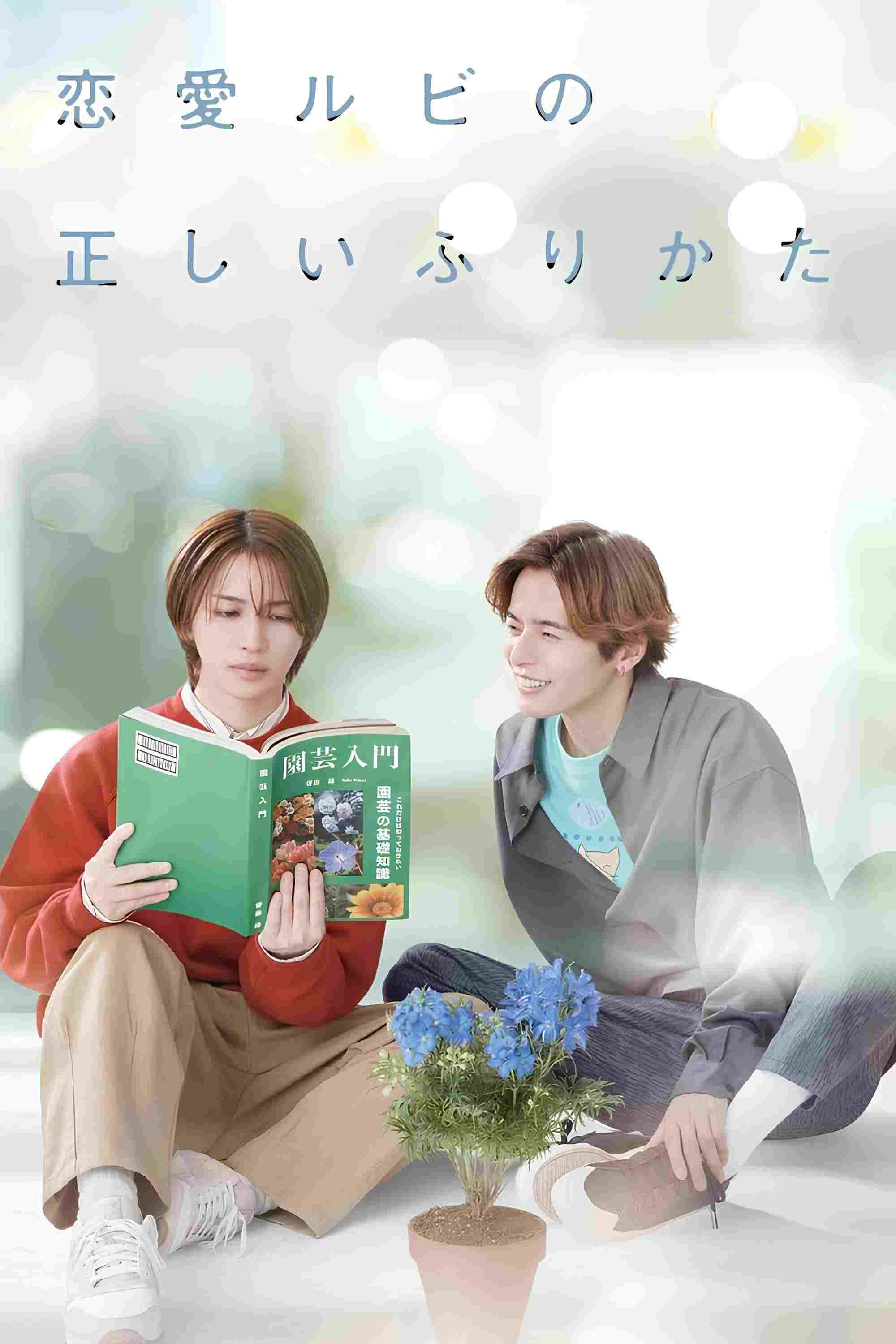  恋愛ルビの正しいふりかた  Oglądaj w HD online