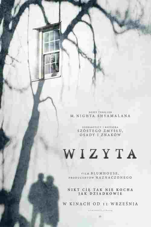 Wizyta  Oglądaj online za darmo w dobrej jakości