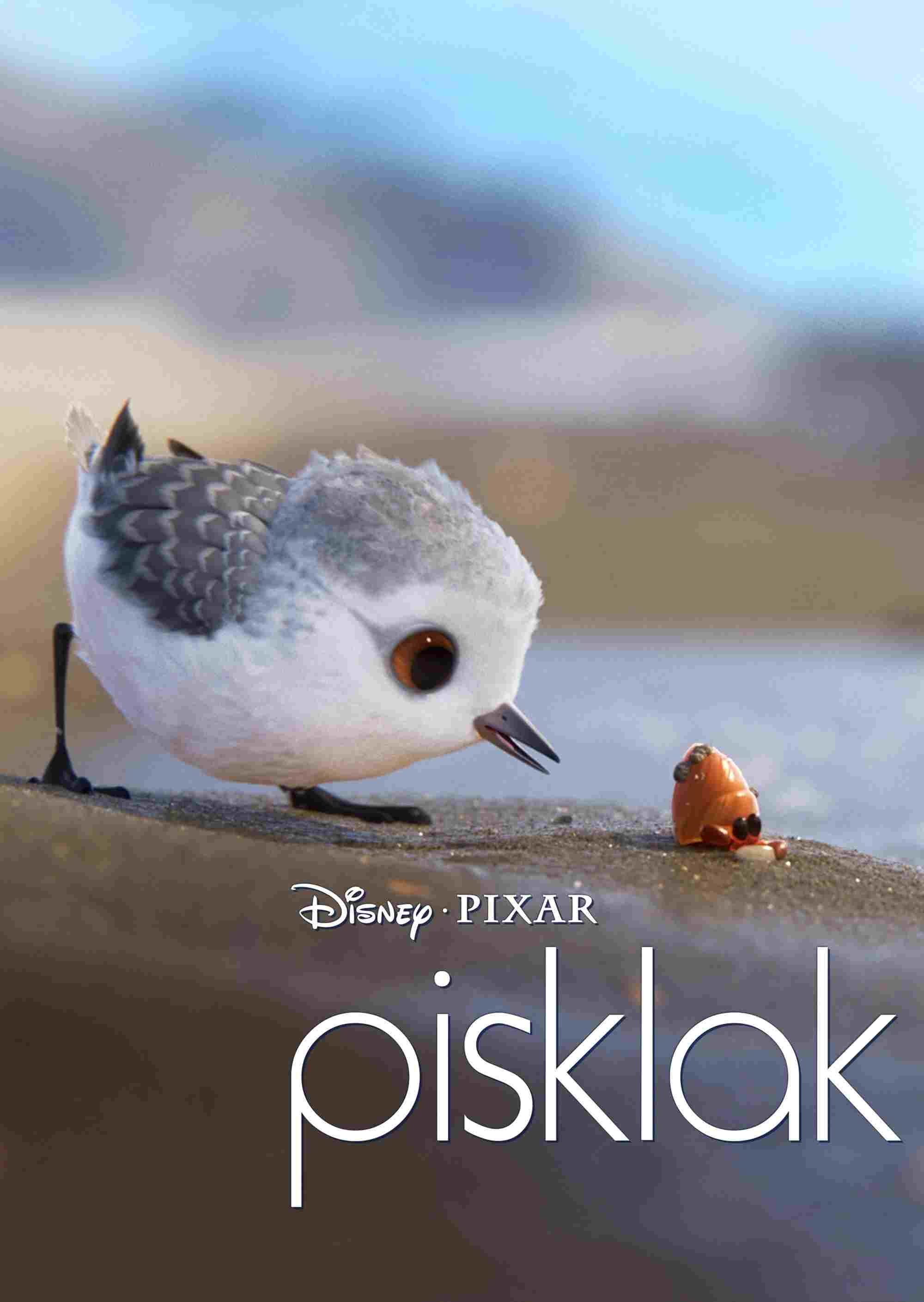 Pisklak  oglądaj online za darmo