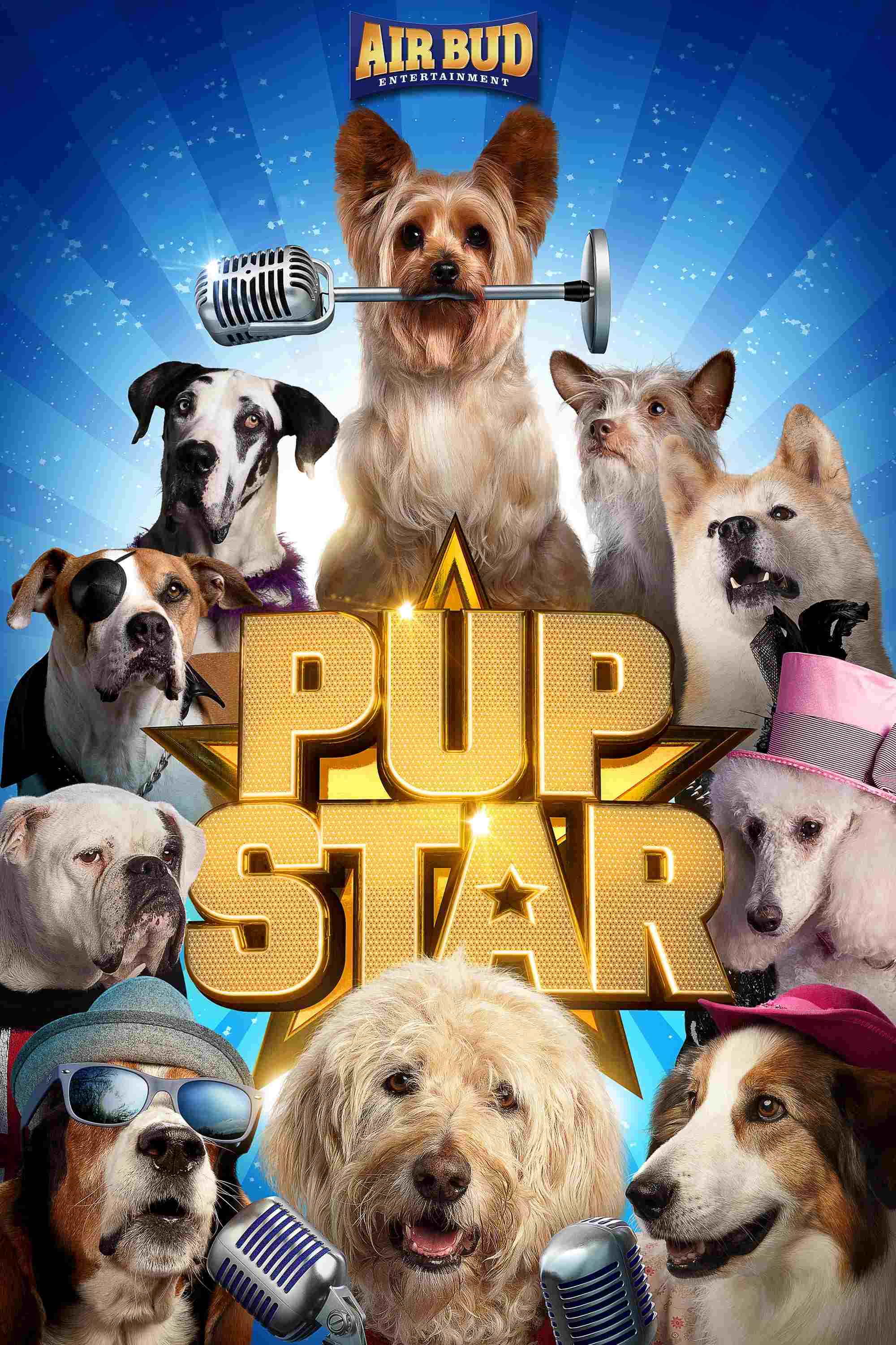 Pup Star  Oglądaj online za darmo w dobrej jakości