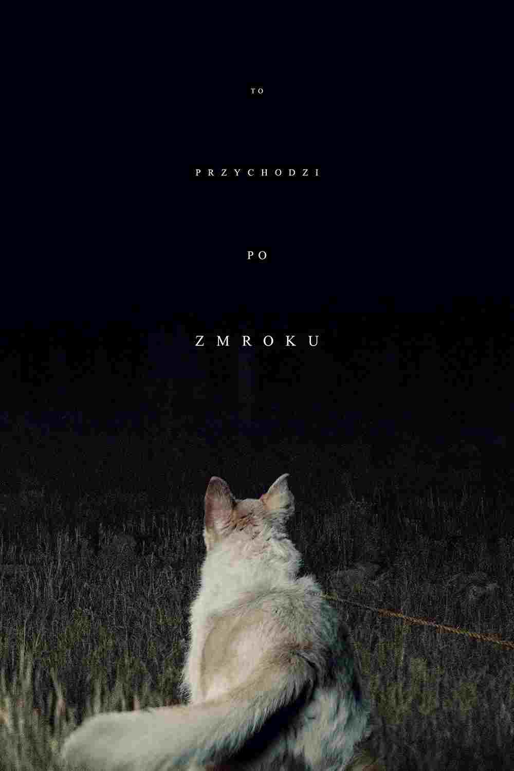 To przychodzi po zmroku  oglądaj online za darmo