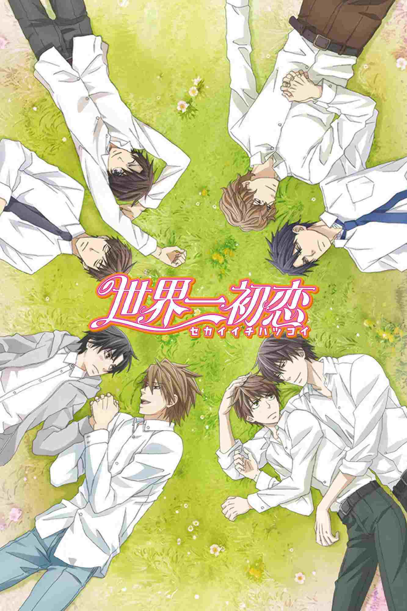 Sekaiichi Hatsukoi  oglądaj online za darmo