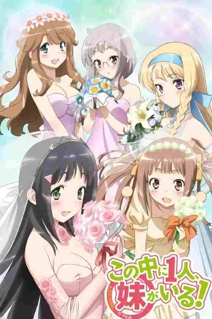 Kono Naka ni Hitori, Imouto ga Iru!  oglądaj online za darmo