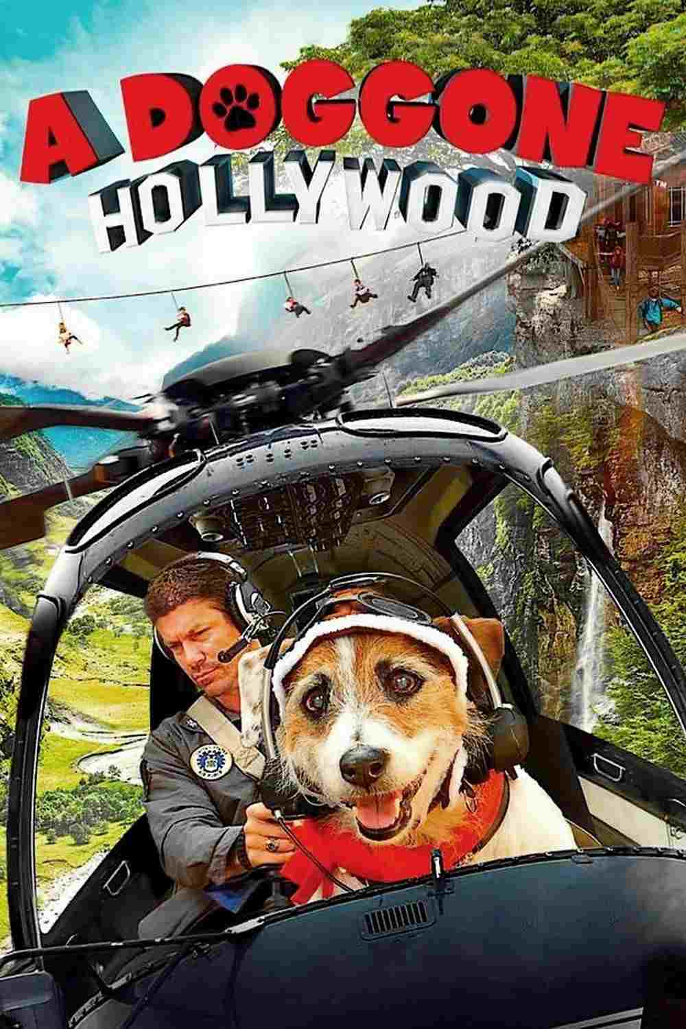 Piesek z Hollywood  oglądaj online za darmo