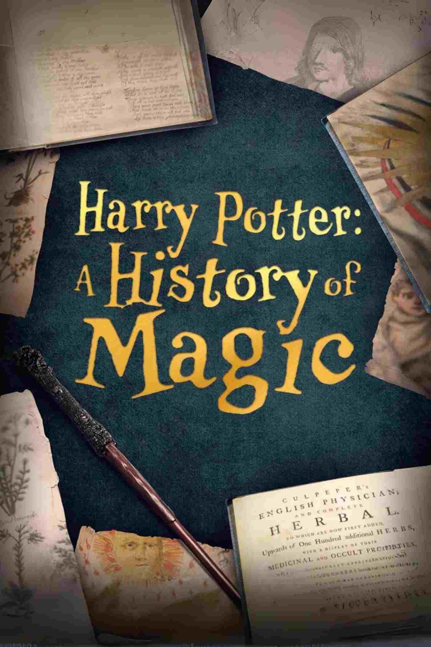 Harry Potter: A History Of Magic  Oglądaj online za darmo w dobrej jakości