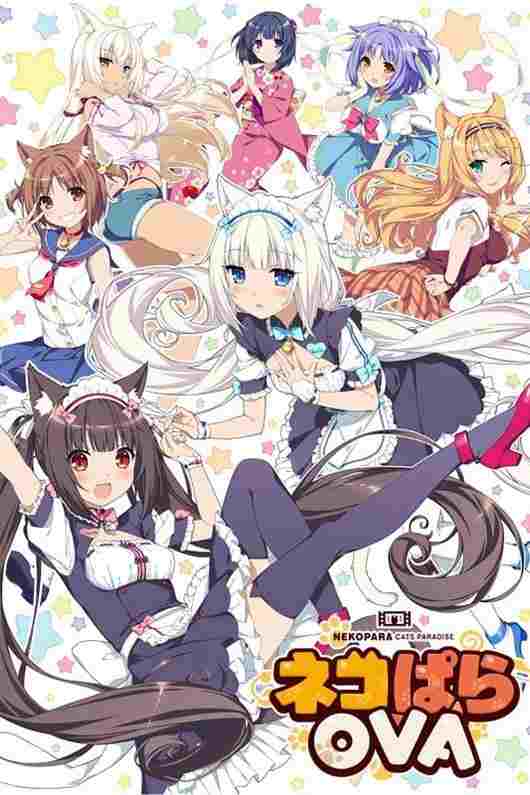 Nekopara OVA  Oglądaj w HD online