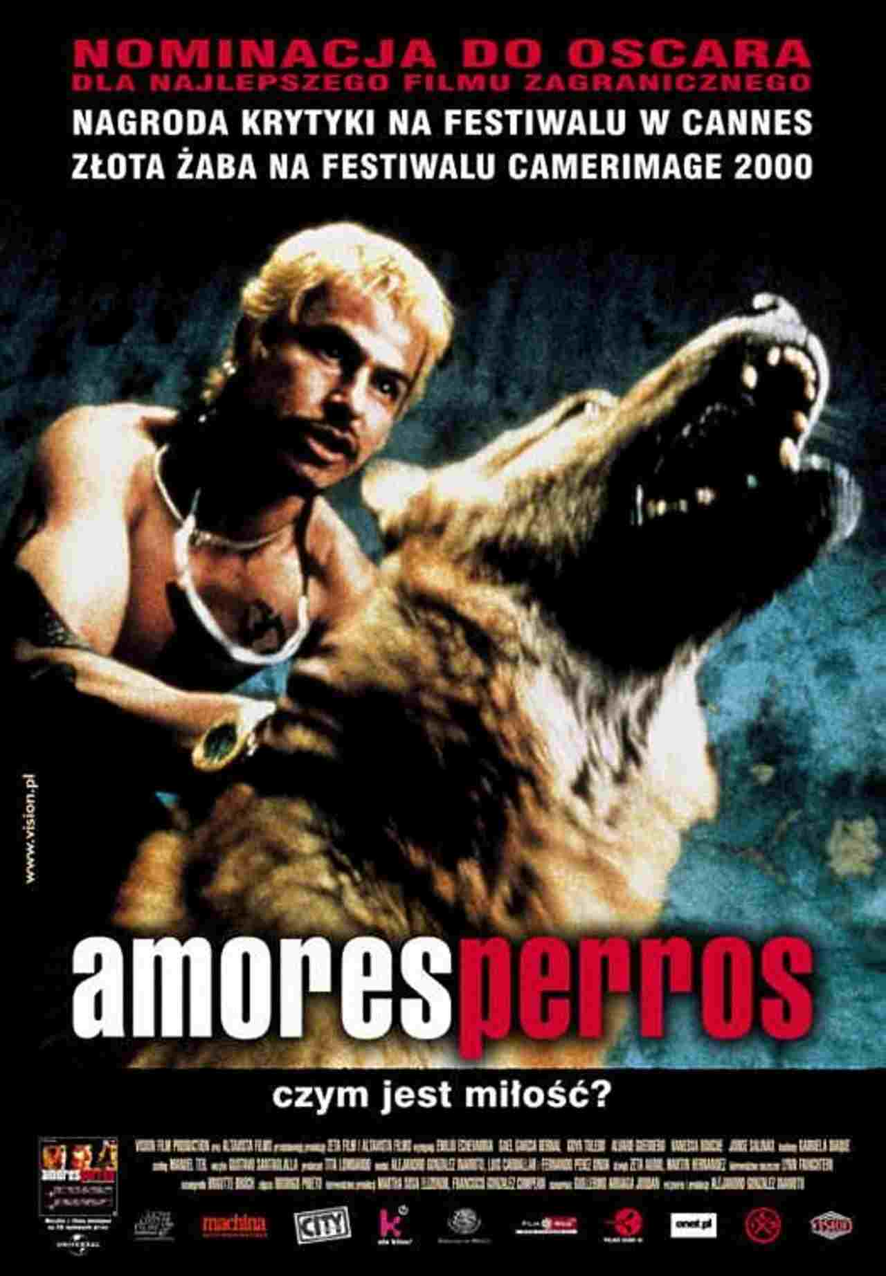 Amores perros  oglądaj online za darmo