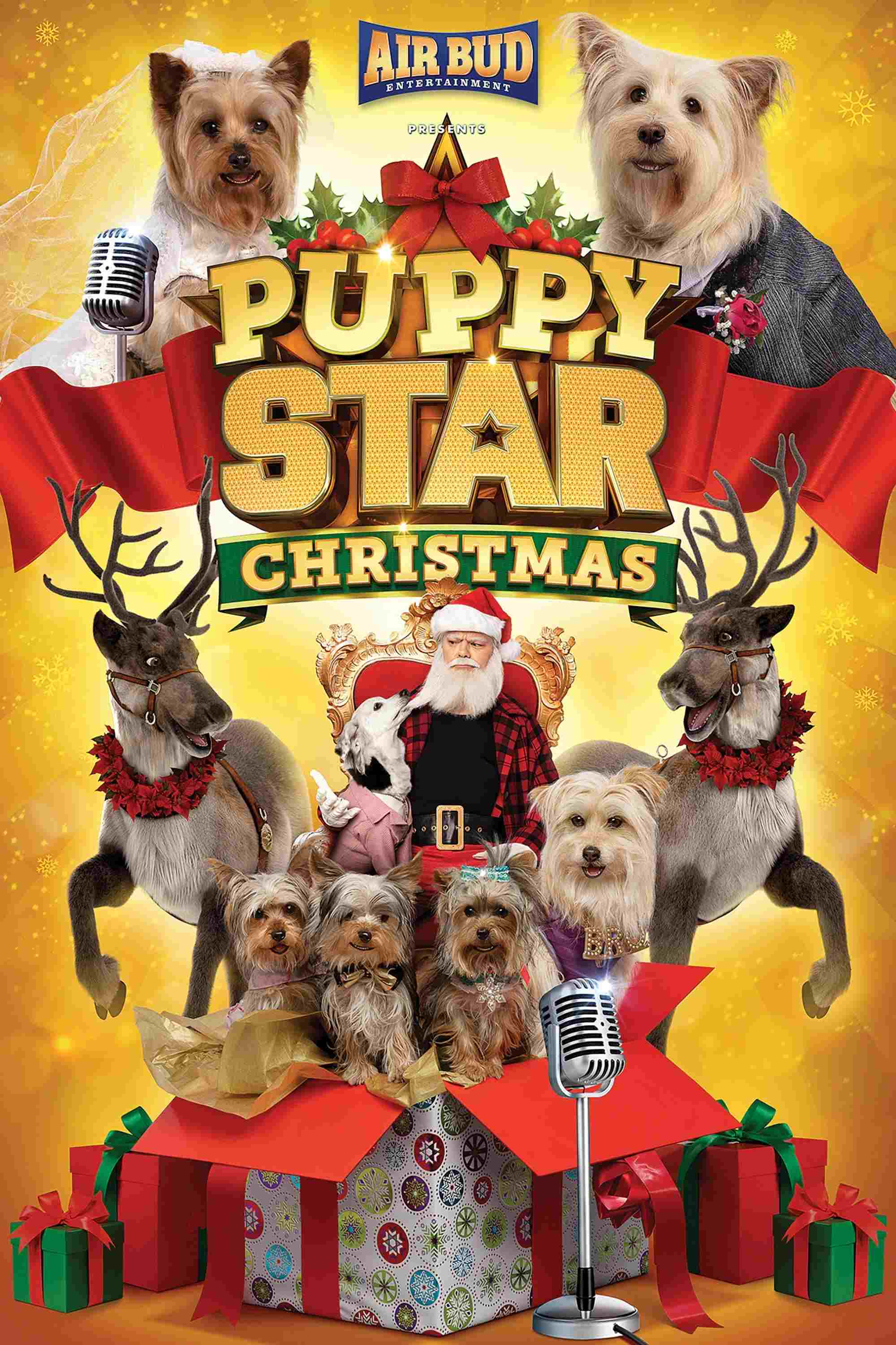 Puppy Star: Boże Narodzenie  oglądaj online za darmo