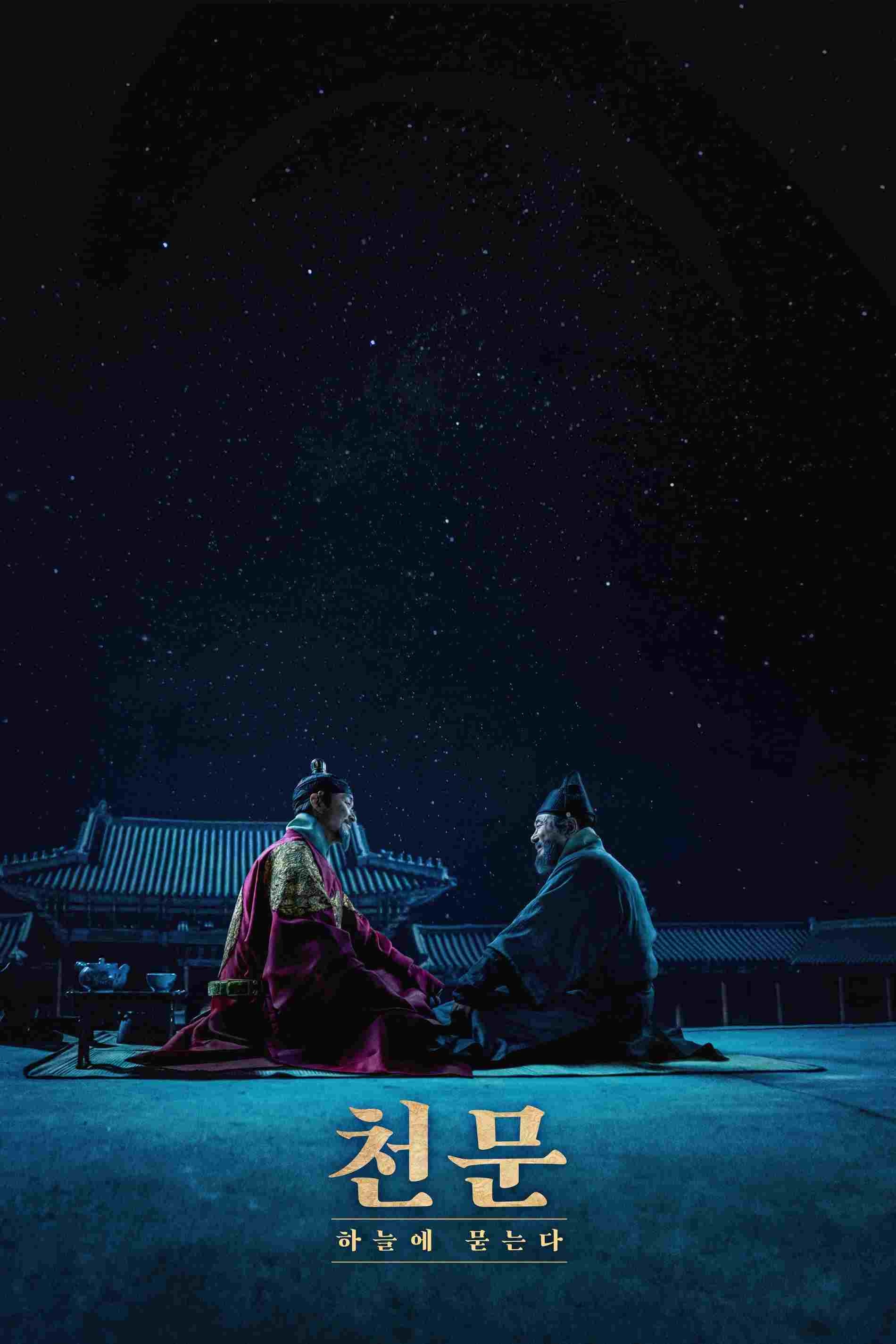  천문: 하늘에 묻는다  Oglądaj w HD online