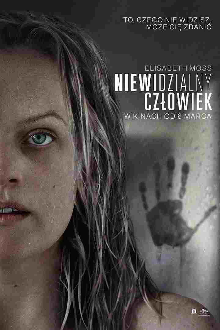 Niewidzialny człowiek  oglądaj online za darmo