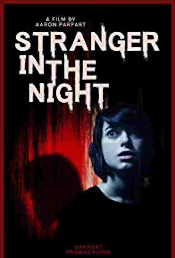 Stranger in the Night  Oglądaj online za darmo w dobrej jakości