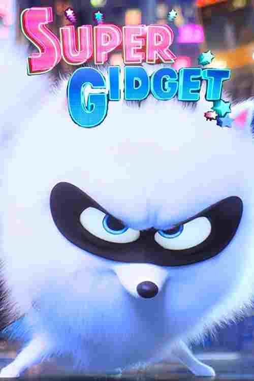 Super Gidget  oglądaj online za darmo