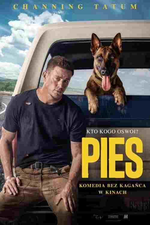 Pies  oglądaj online za darmo