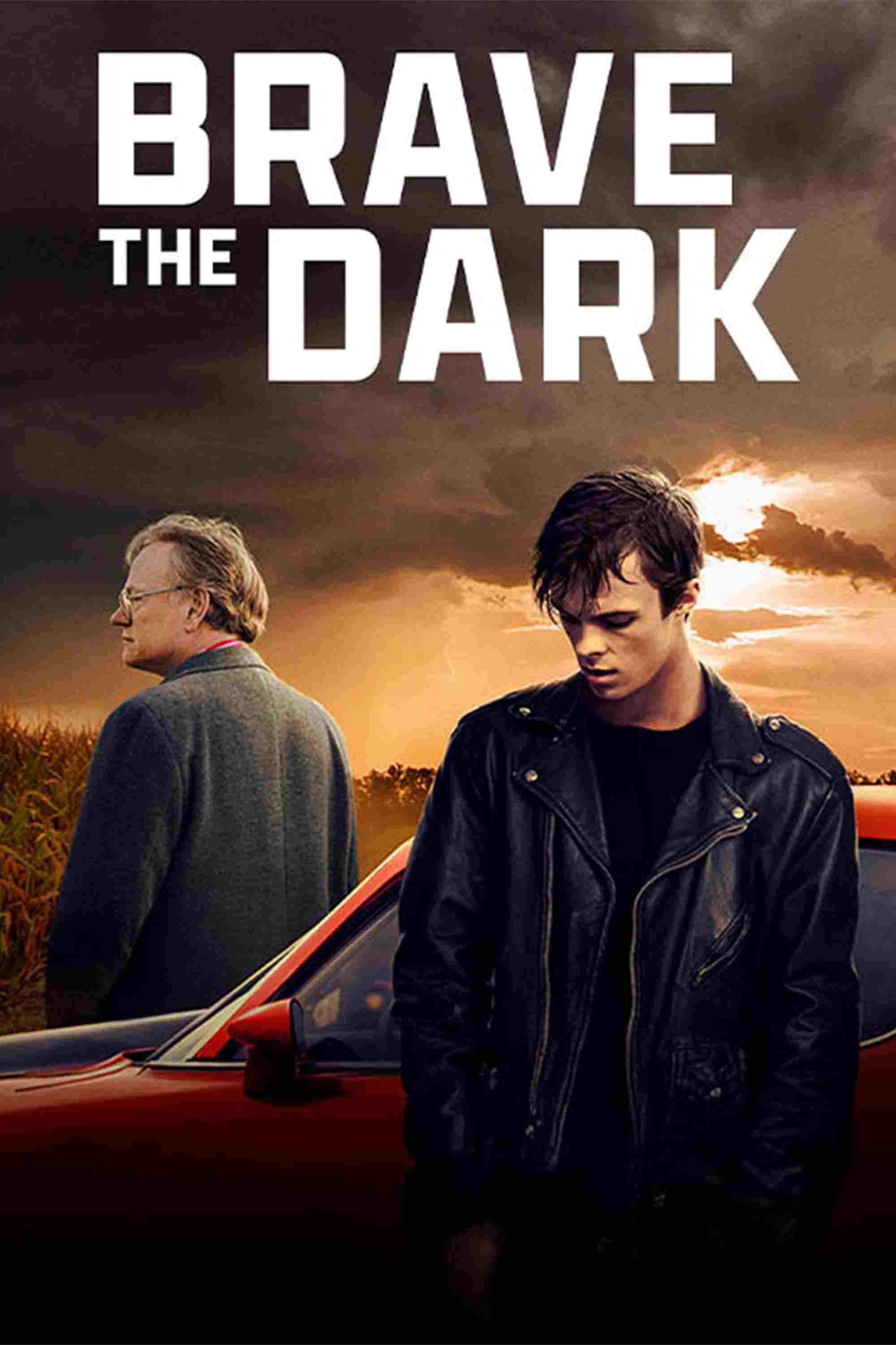  Brave the Dark  Oglądaj w HD online