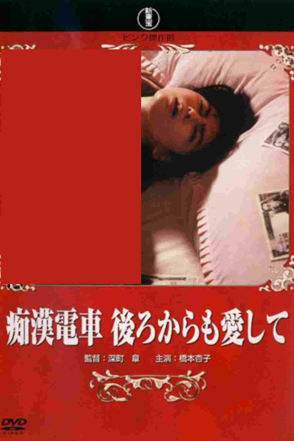 痴漢電車 後ろからも愛して  oglądaj online za darmo