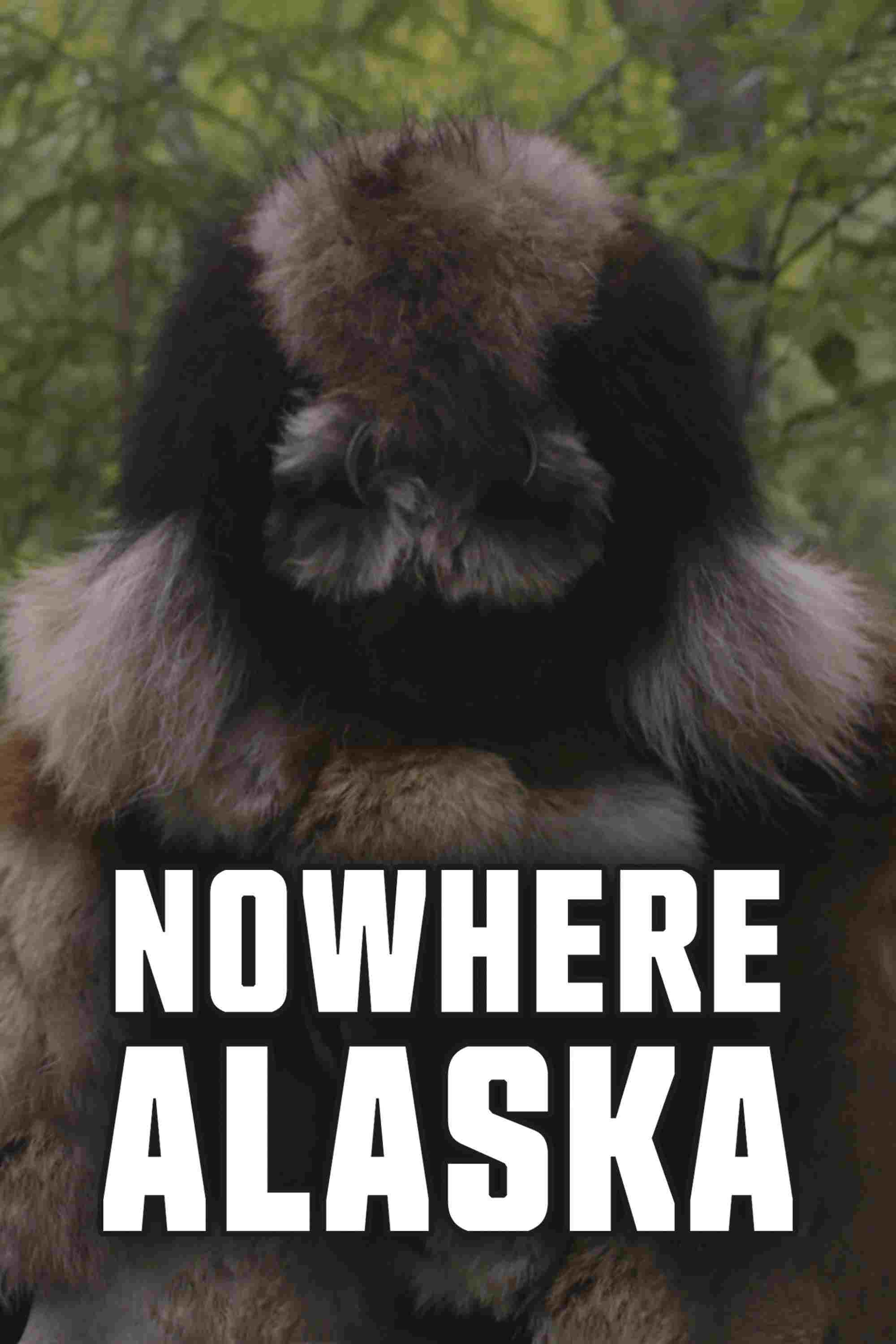 Nowhere Alaska  oglądaj online za darmo