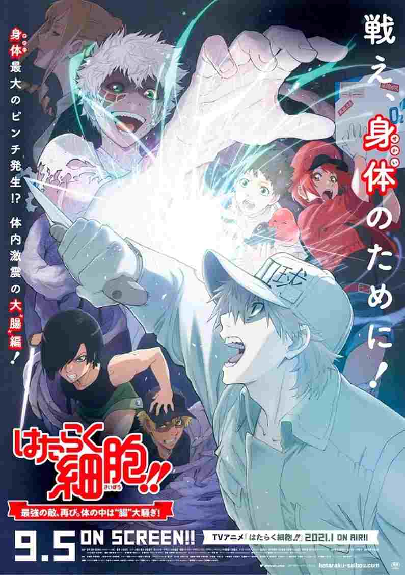 Hataraku Saibou!!: Saikyou no Teki, Futatabi. Karada no Naka wa "Chou" Oosawagi!  oglądaj online za darmo