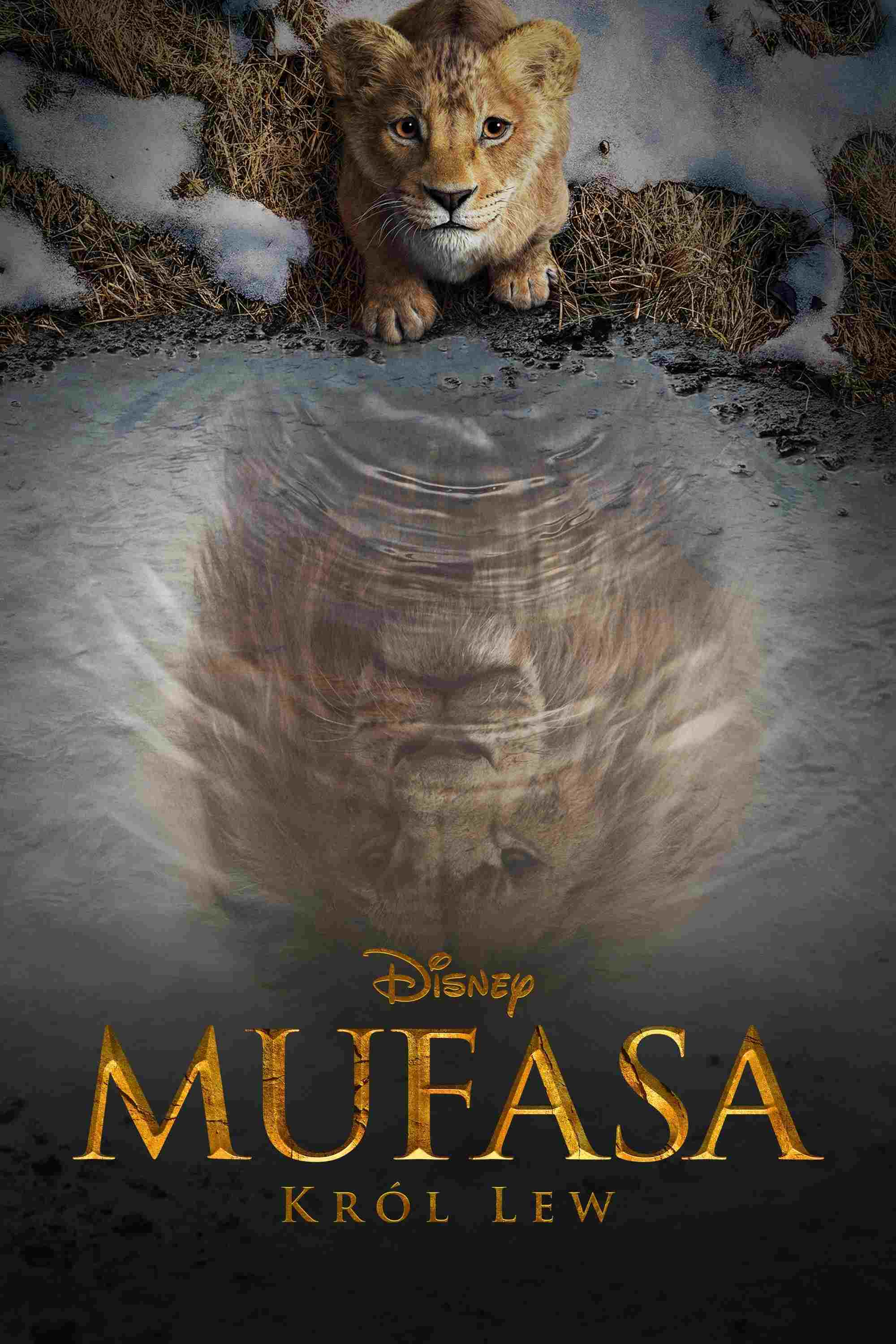 Mufasa: Król Lew  oglądaj online za darmo