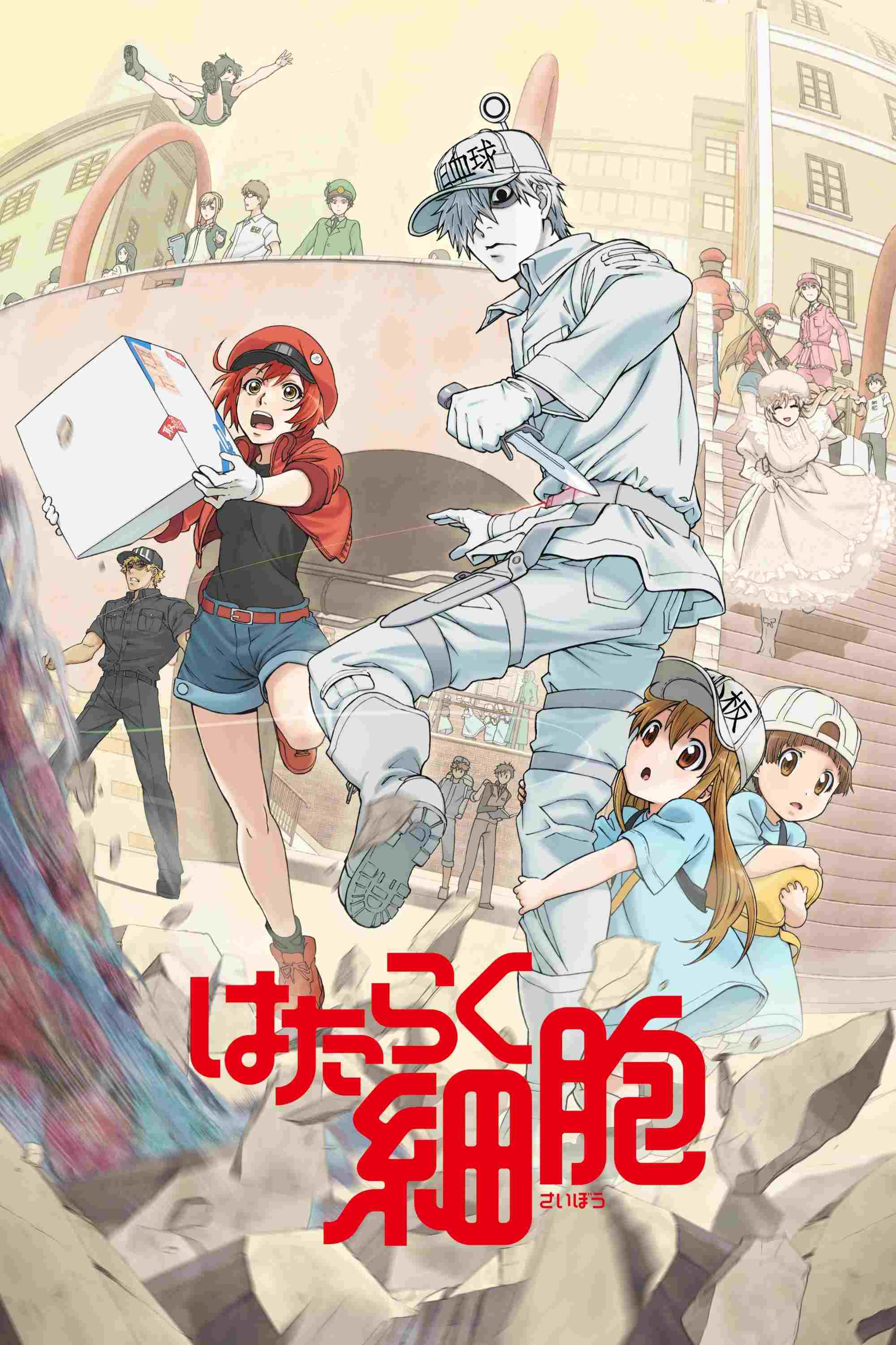 Hataraku Saibou  oglądaj online za darmo