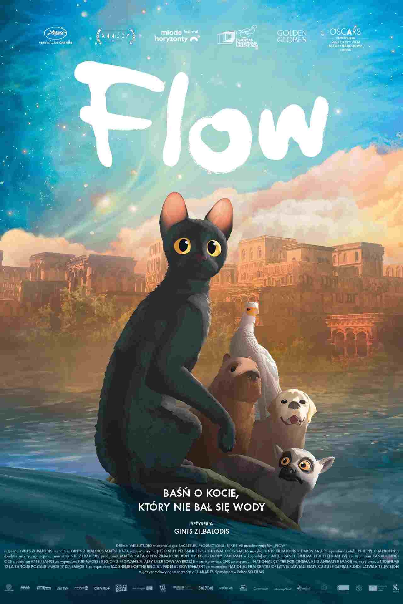 Flow  oglądaj online za darmo