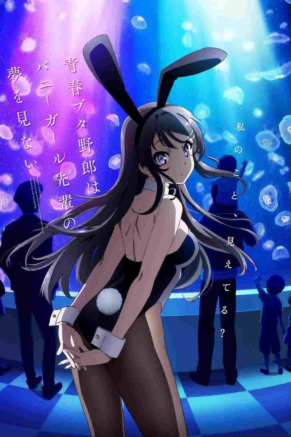 Rascal Does Not Dream of Bunny Girl Senpai  oglądaj online za darmo
