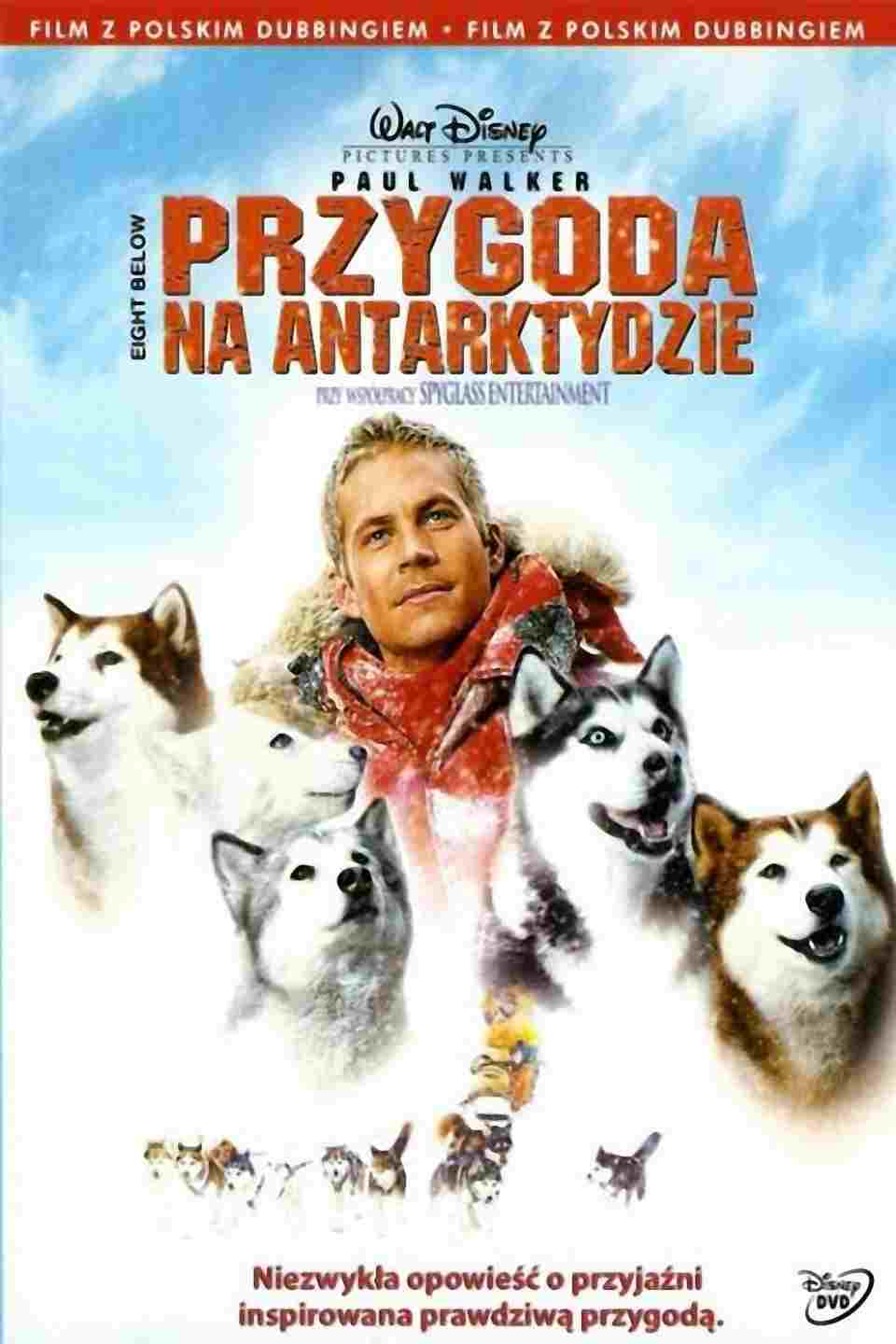 Przygoda na Antarktydzie  Oglądaj online za darmo w dobrej jakości