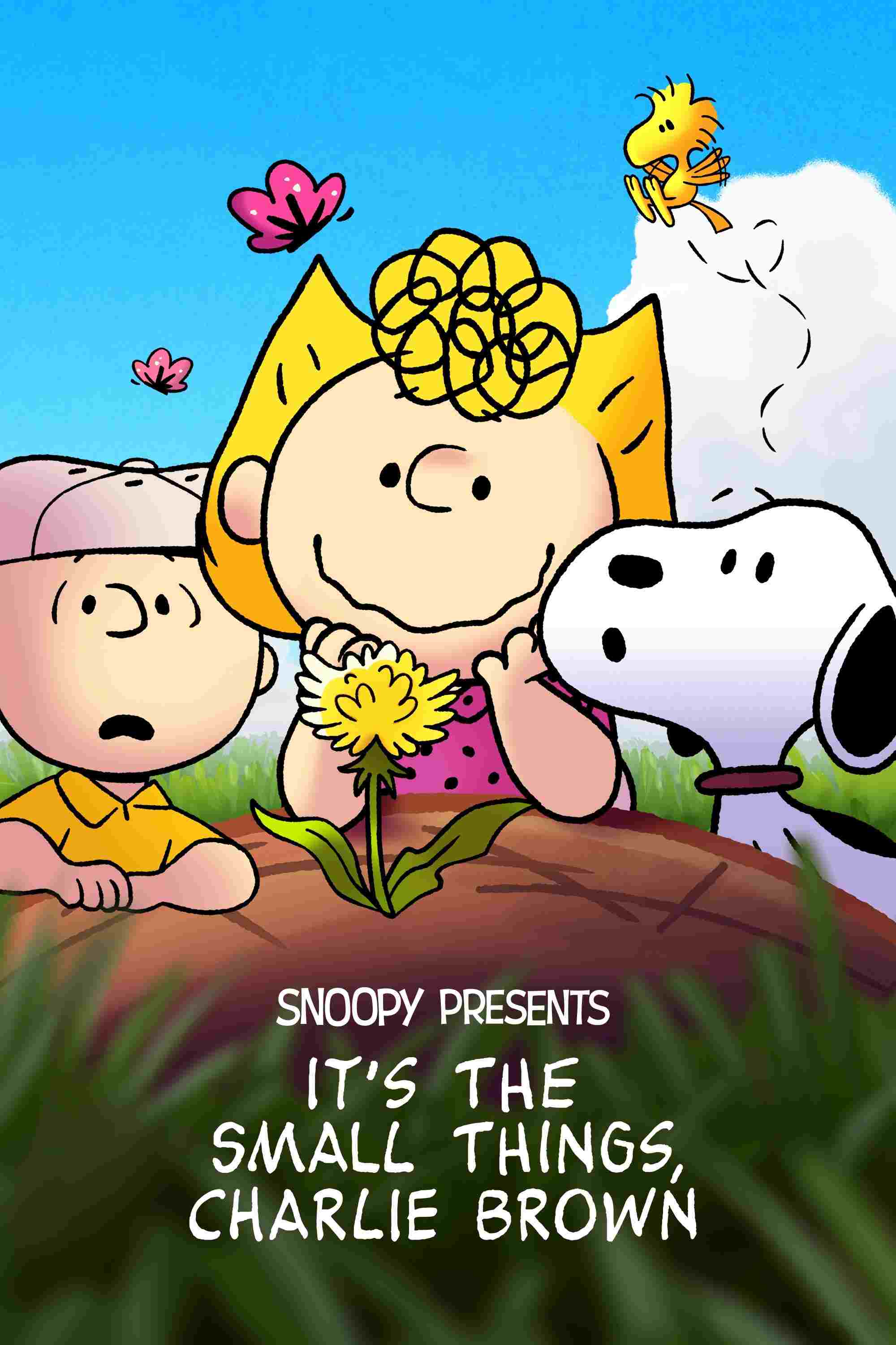 Snoopy przedstawia: Małe rzeczy, duża sprawa, Charlie Brownie  oglądaj online za darmo