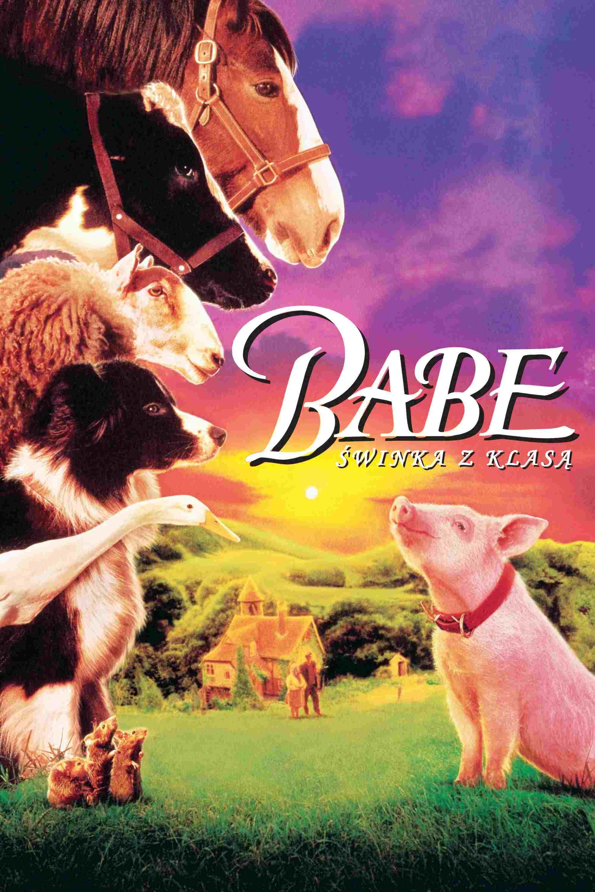 Babe - świnka z klasą  oglądaj online za darmo