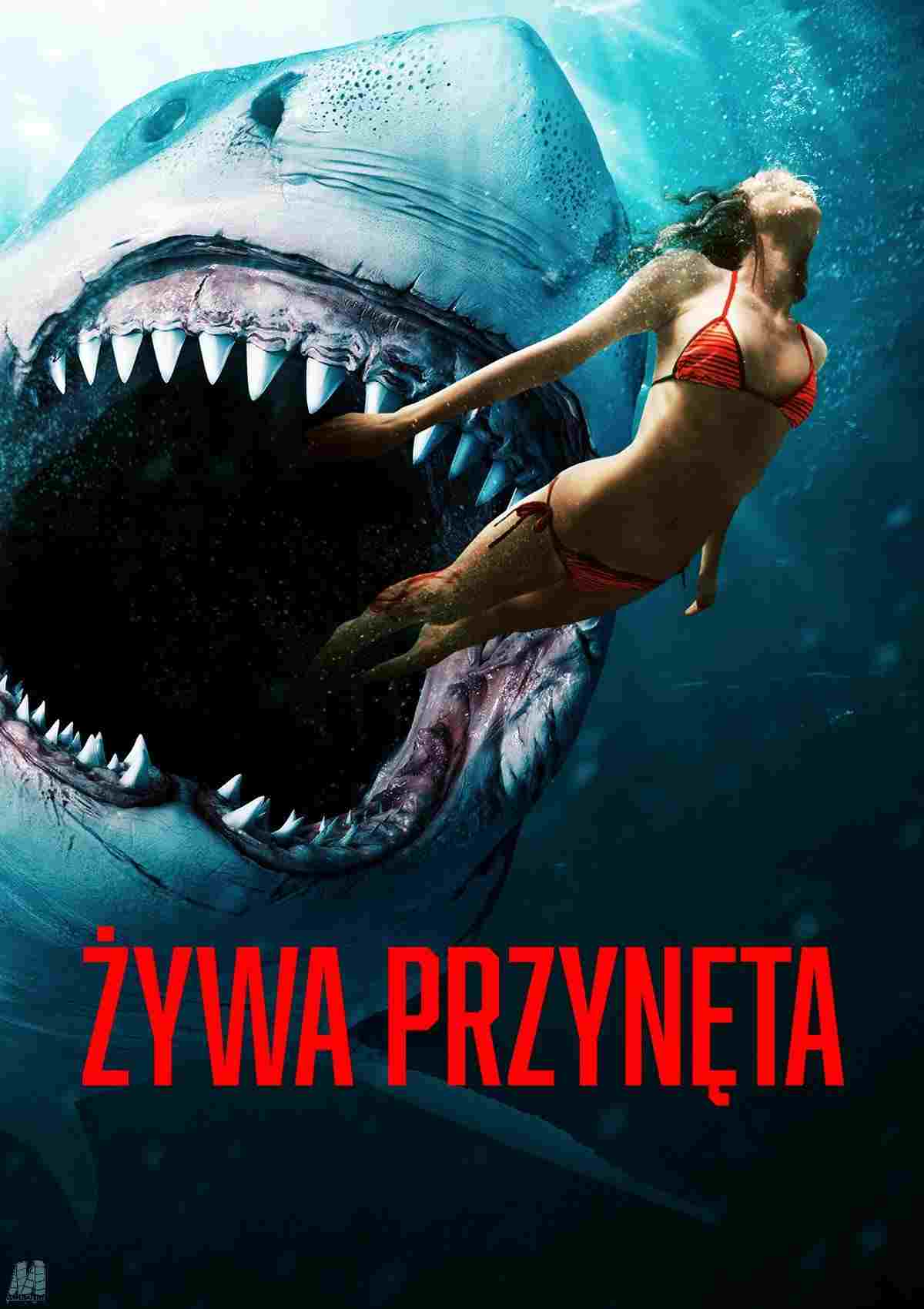 Żywa przynęta  oglądaj online za darmo