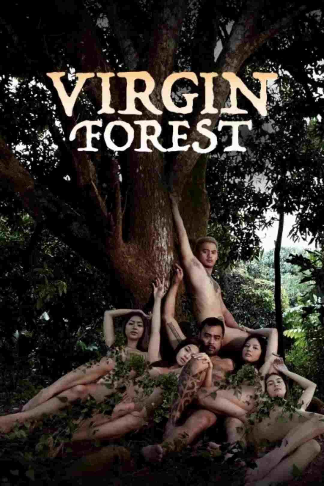 Virgin Forest  Oglądaj online za darmo w dobrej jakości