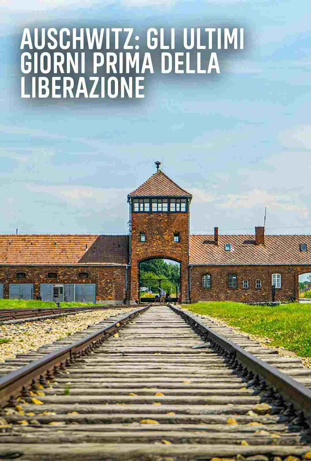 Auschwitz: Countdown to Liberation Oglądaj w HD online