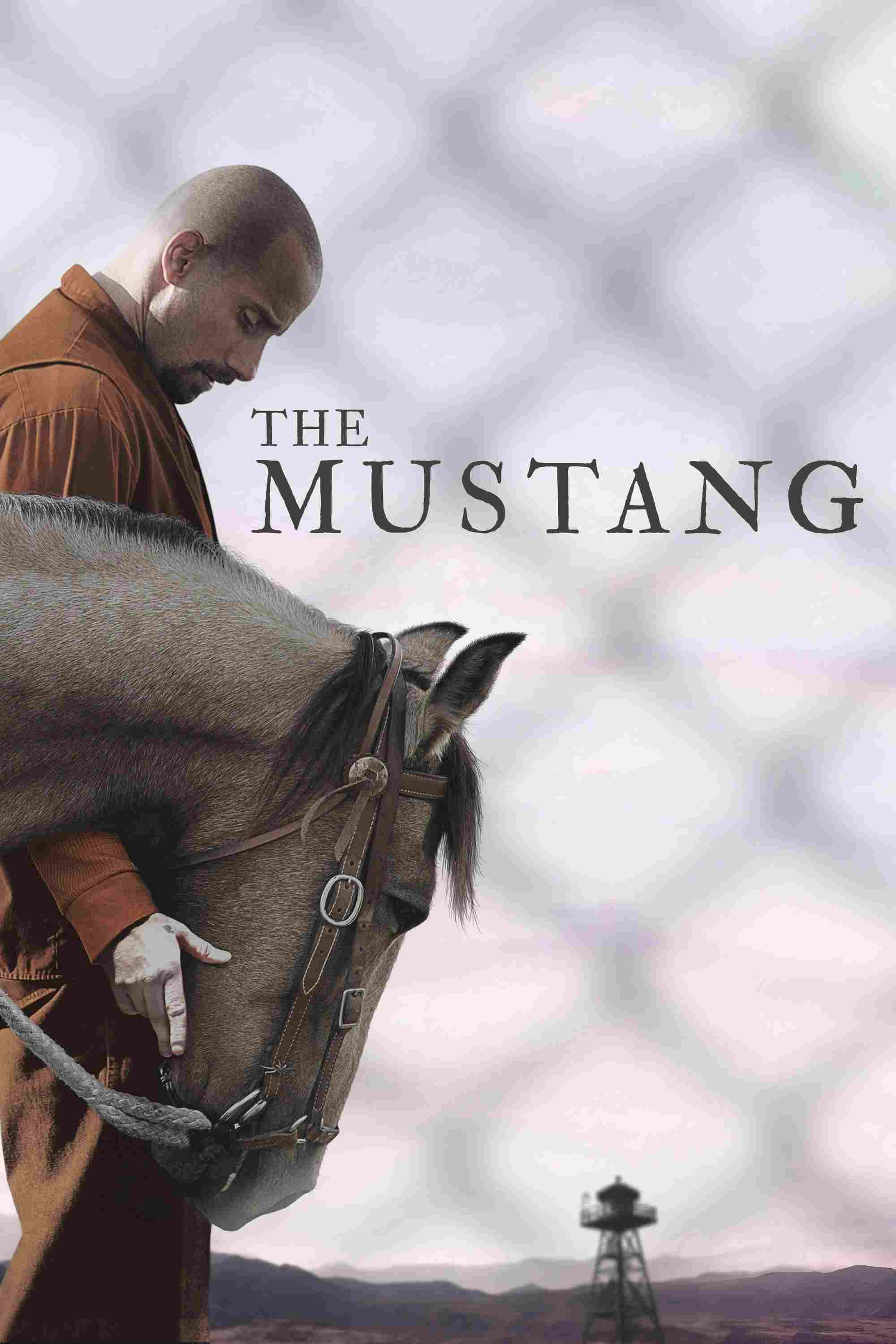 Mustang oglądaj online za darmo
